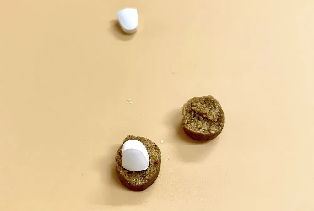 鹿ソフトトリーツ・ピルカバー 50g