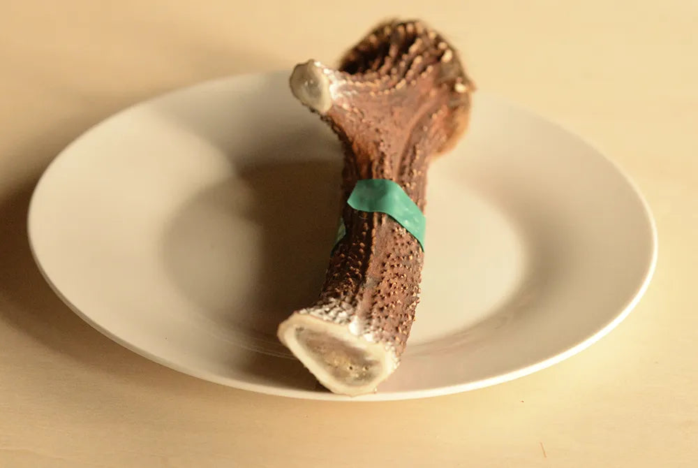 シカツノ LLサイズ